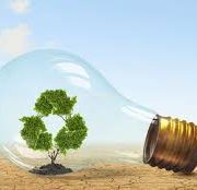 ECOMMERCE/ Sigue el camino verde