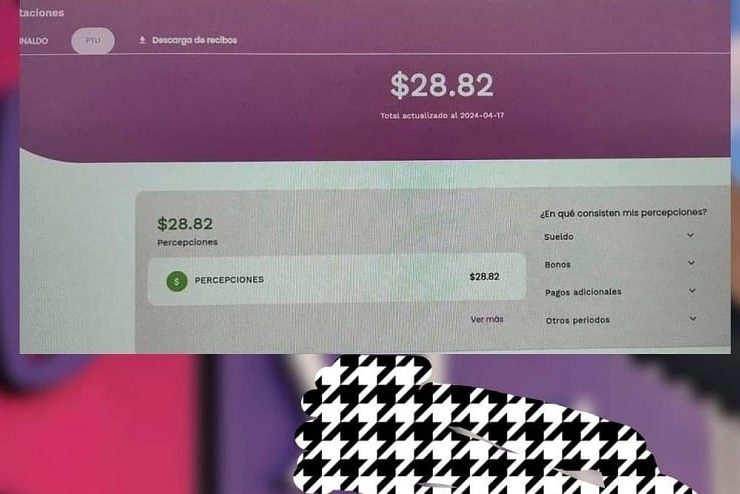 Esperaba con ilusión sus utilidades y le dan solo 28.00 pesos de utilidades