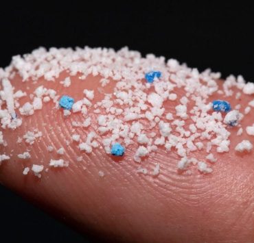 Encuentran microplásticos en testículos