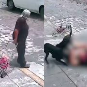 Una jauría de perros ataca a una abuelita, en Pedro Escobedo, Querétaro