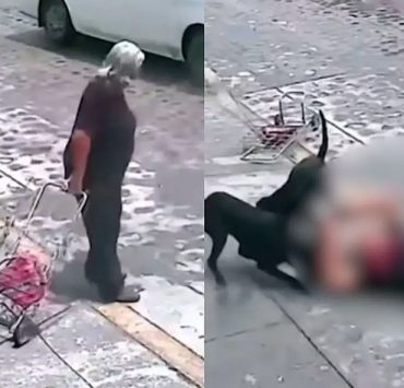 Una jauría de perros ataca a una abuelita, en Pedro Escobedo, Querétaro