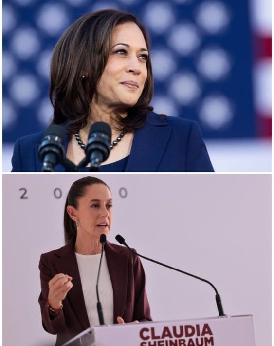 Sheinbaum y Harris, Sostienen Charla Sobre Futuro y Cooperación de Ambas Naciones