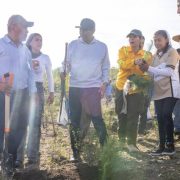 Mega Tequio de Reforestación Bienestar