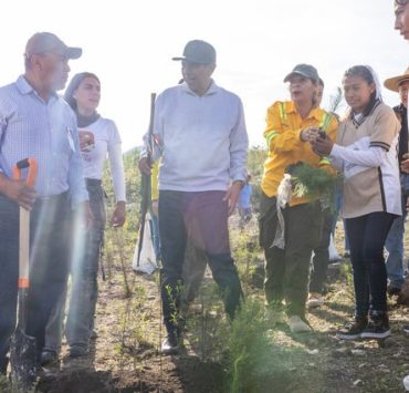 Mega Tequio de Reforestación Bienestar