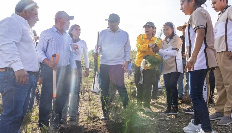 Mega Tequio de Reforestación Bienestar