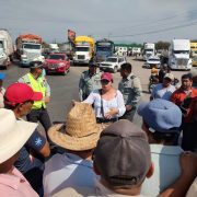 Paro de productores de mango