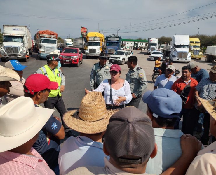 Paro de productores de mango