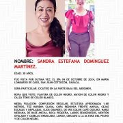 Activista