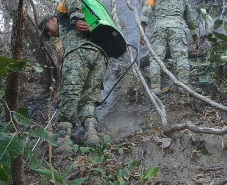 incendios forestales