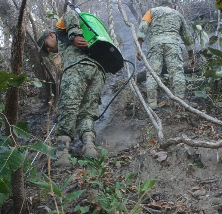 incendios forestales