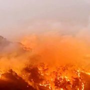 Incendio forestal
