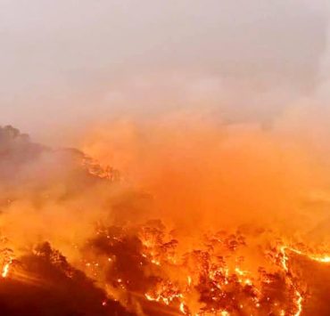 Incendio forestal