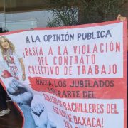 dirigente sindical