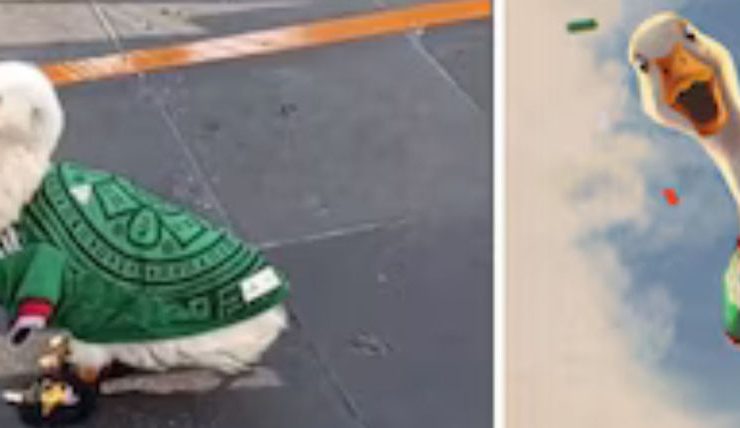 blank