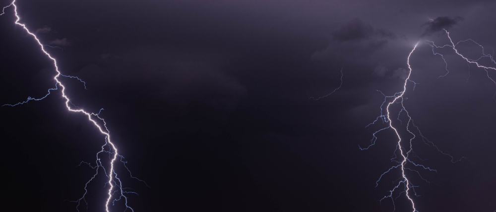 blank
