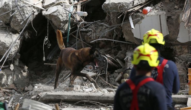 blank