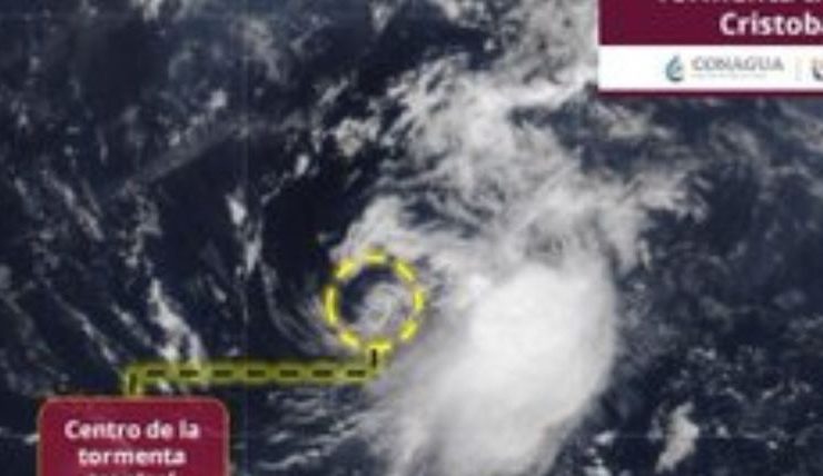 blank